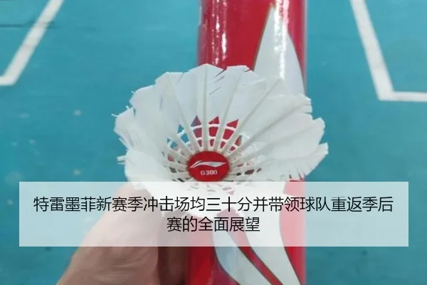 特雷墨菲新赛季冲击场均三十分并带领球队重返季后赛的全面展望